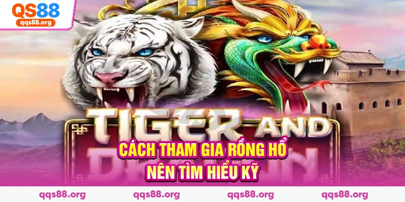 Cách tham gia Rồng Hổ nên tìm hiểu kỹ